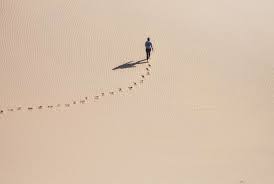 tracce