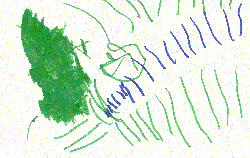 2_piccolo