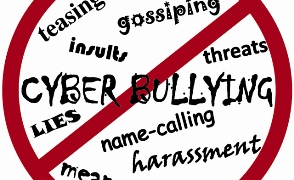 cyberbully