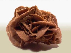 rosa del deserto